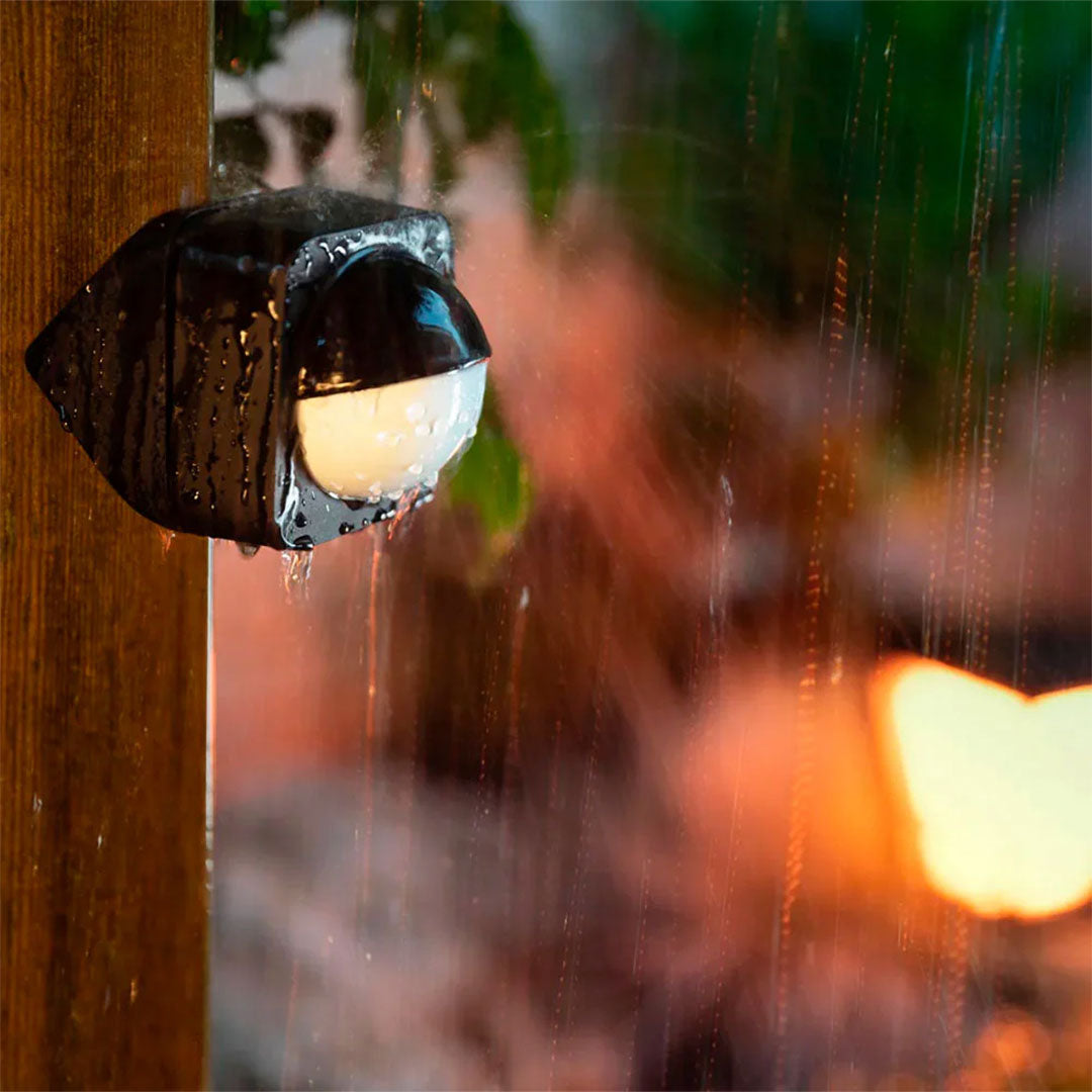 PHILIPS HUE 929003067401 Sensor para Exteriores. Instalación en pared, baterías incluidas