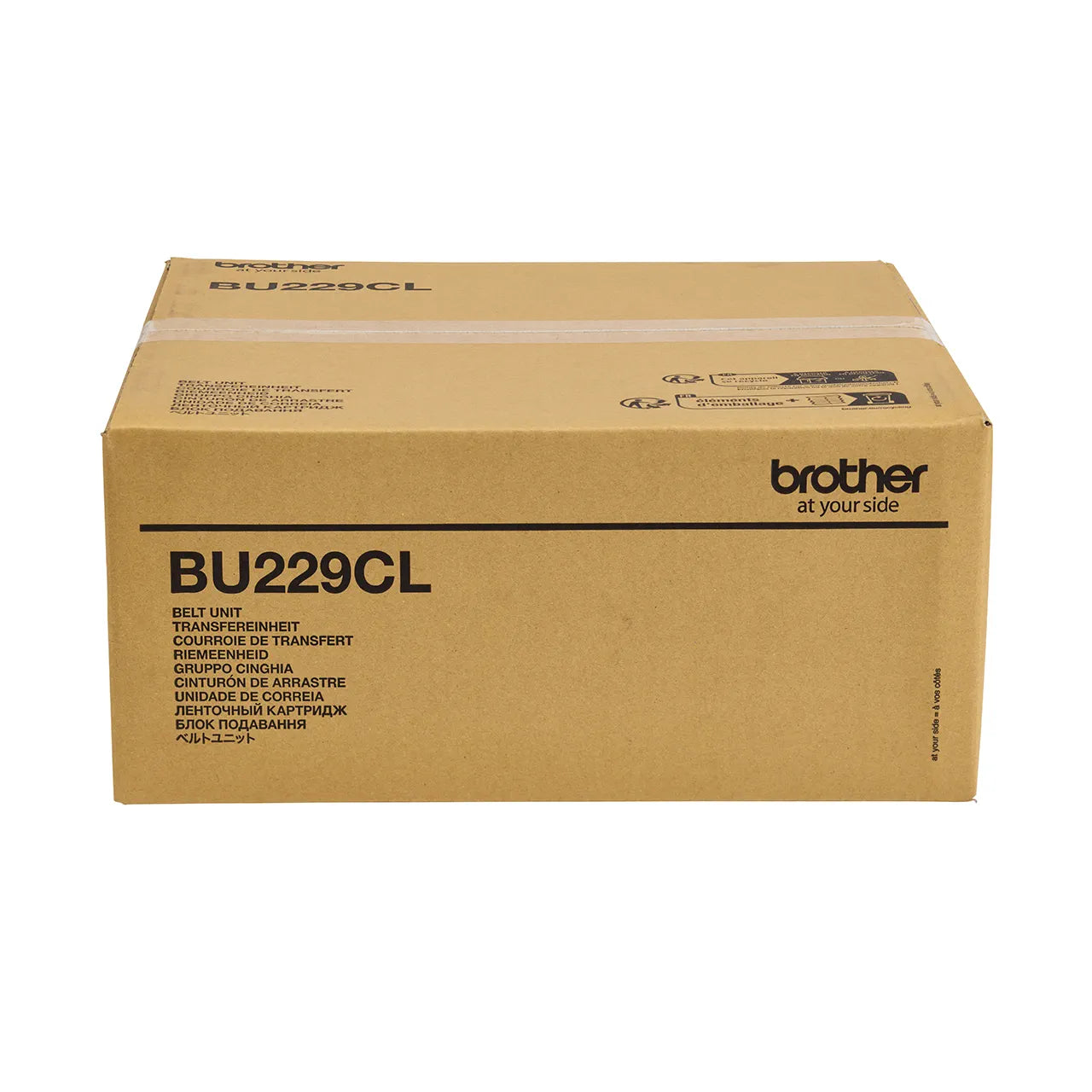 BROTHER BU229CL Correa De Transferencia 50000 Paginas