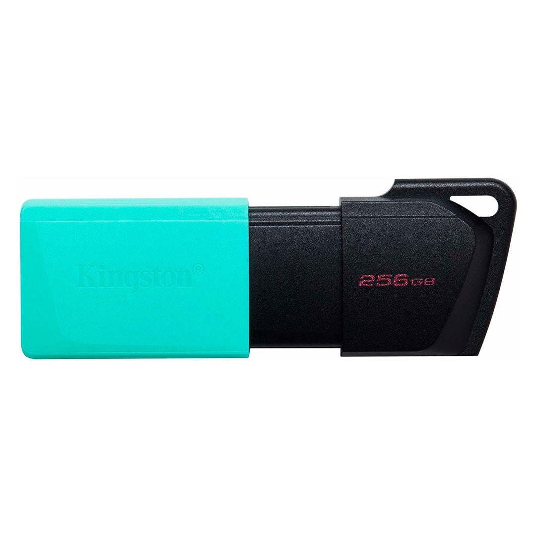 KINGSTON DTXM/256GB EXODIA M Memoria USB 3.2 256GB