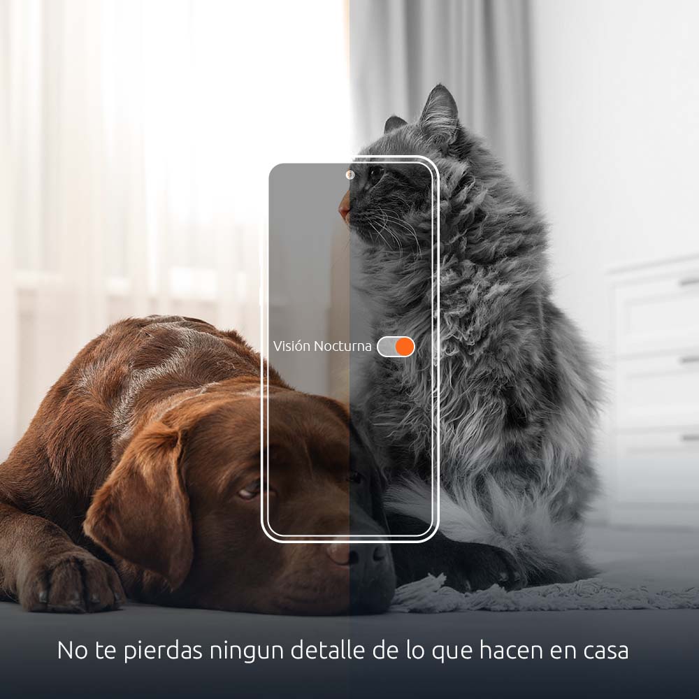 NEXXT SOLUTIONS NHA-P610 Dispensador WIFI de Alimento para Mascotas con Cámara 1080P