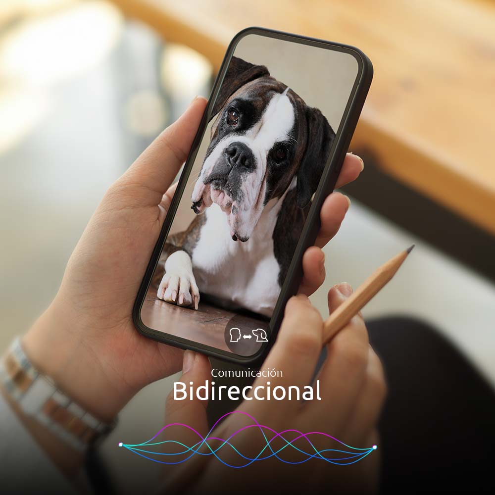 NEXXT SOLUTIONS NHA-P610 Dispensador WIFI de Alimento para Mascotas con Cámara 1080P