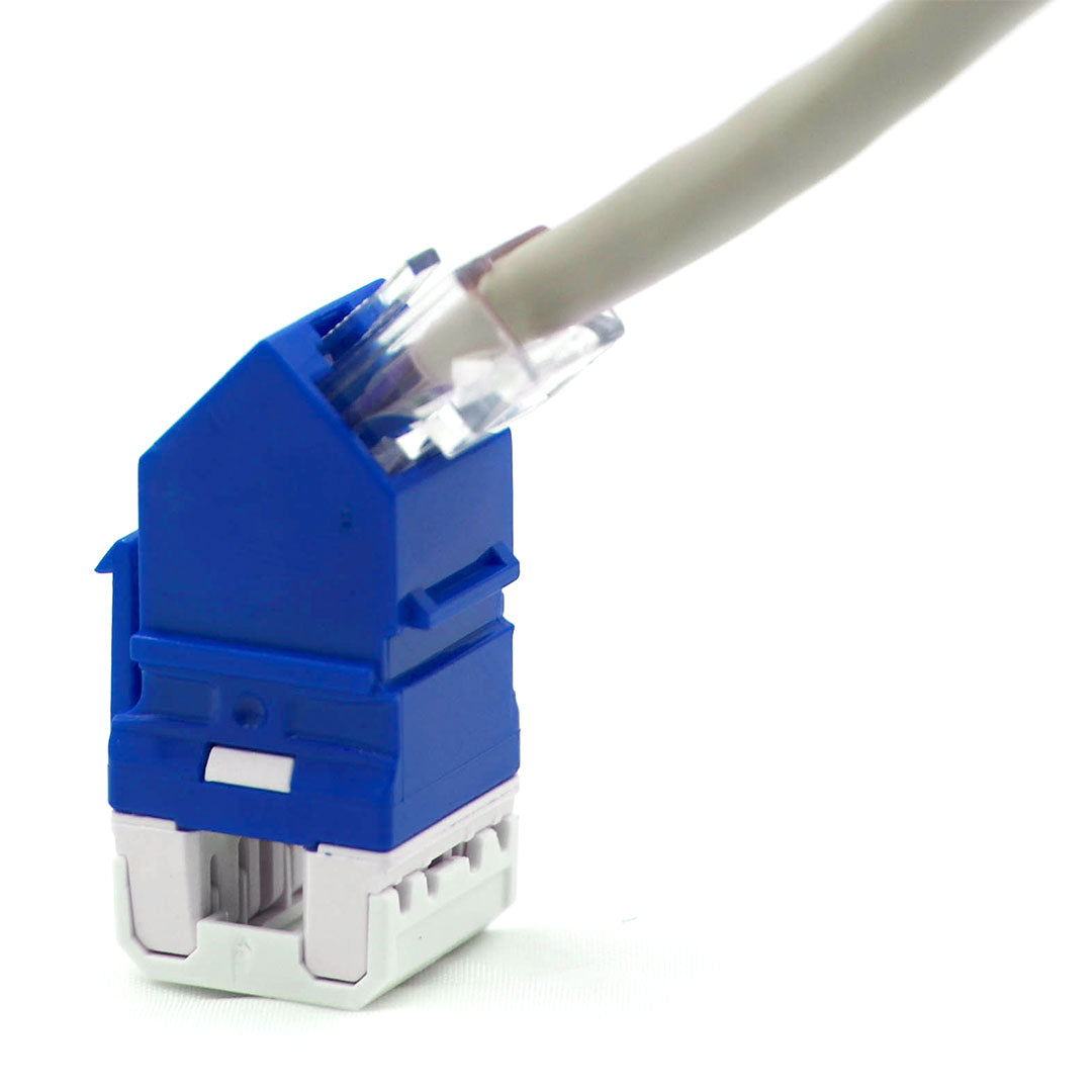 SATRA 0102070004 Jack RJ45 Angular Cat6 Azul