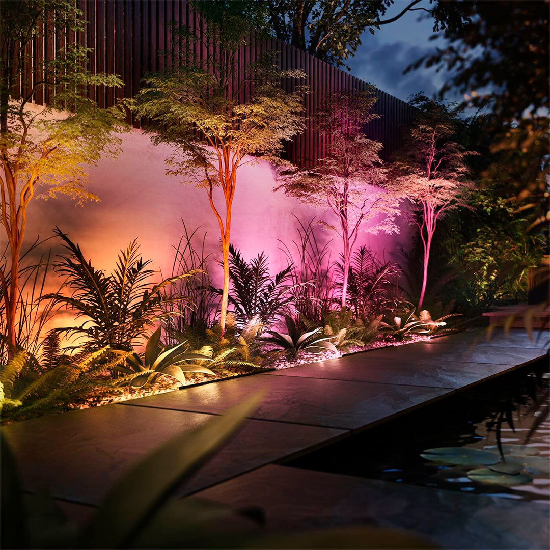 PHILIPS HUE 929003149501 Fuente de Alimentación 100W