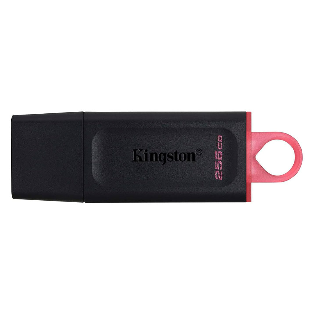 KINGSTON DTX/256GB EXODIA Memoria USB 3.2 256GB