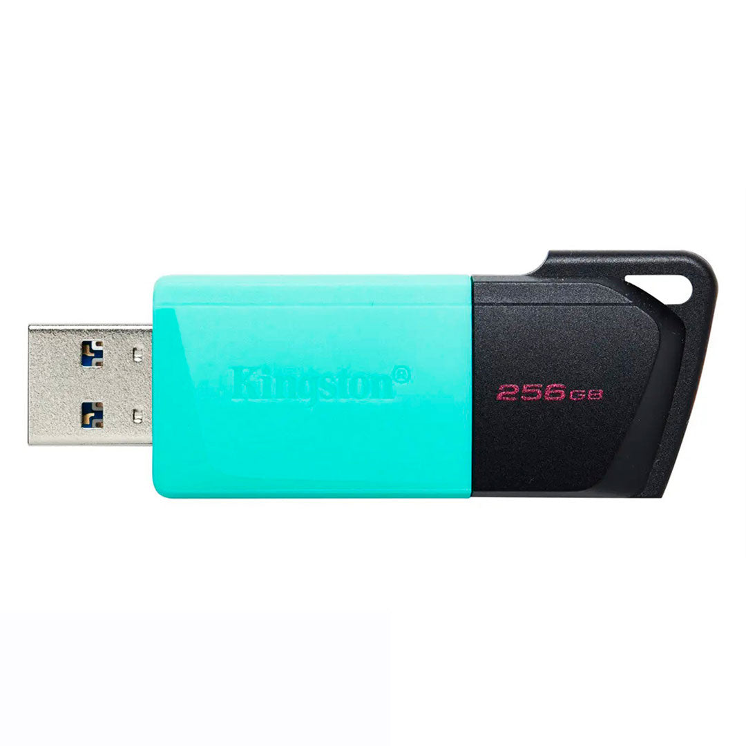 KINGSTON DTXM/256GB EXODIA M Memoria USB 3.2 256GB