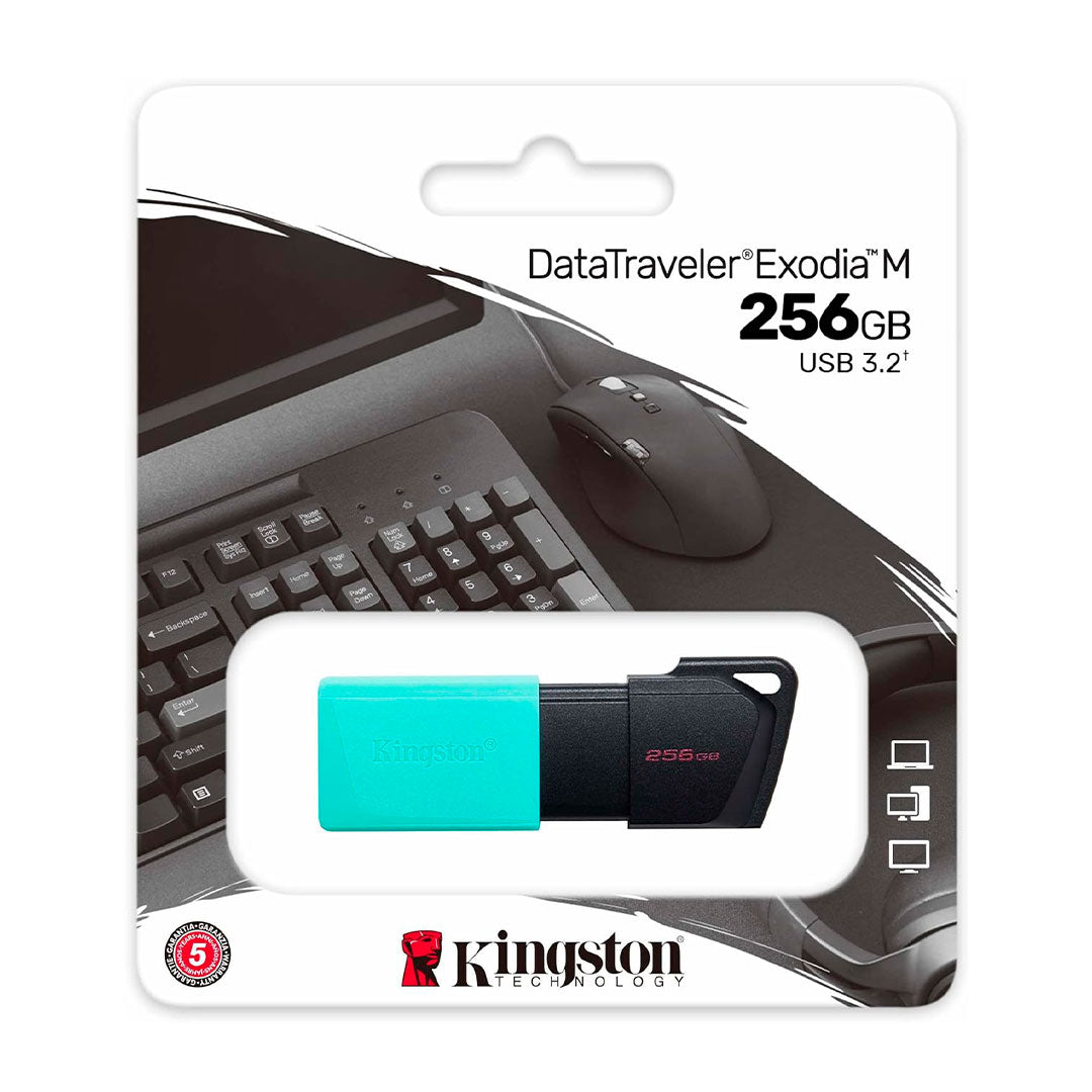 KINGSTON DTXM/256GB EXODIA M Memoria USB 3.2 256GB