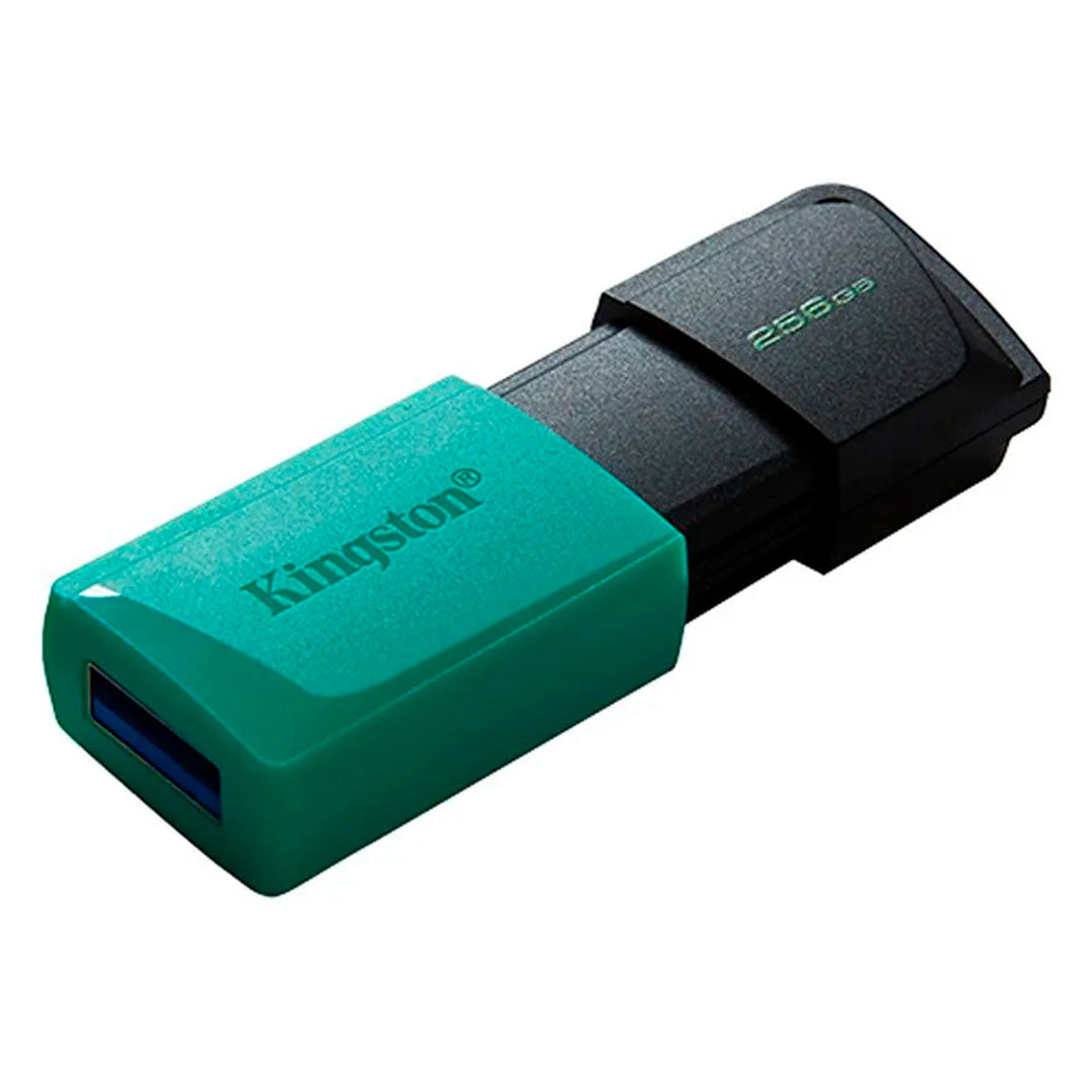KINGSTON DTXM/256GB EXODIA M Memoria USB 3.2 256GB