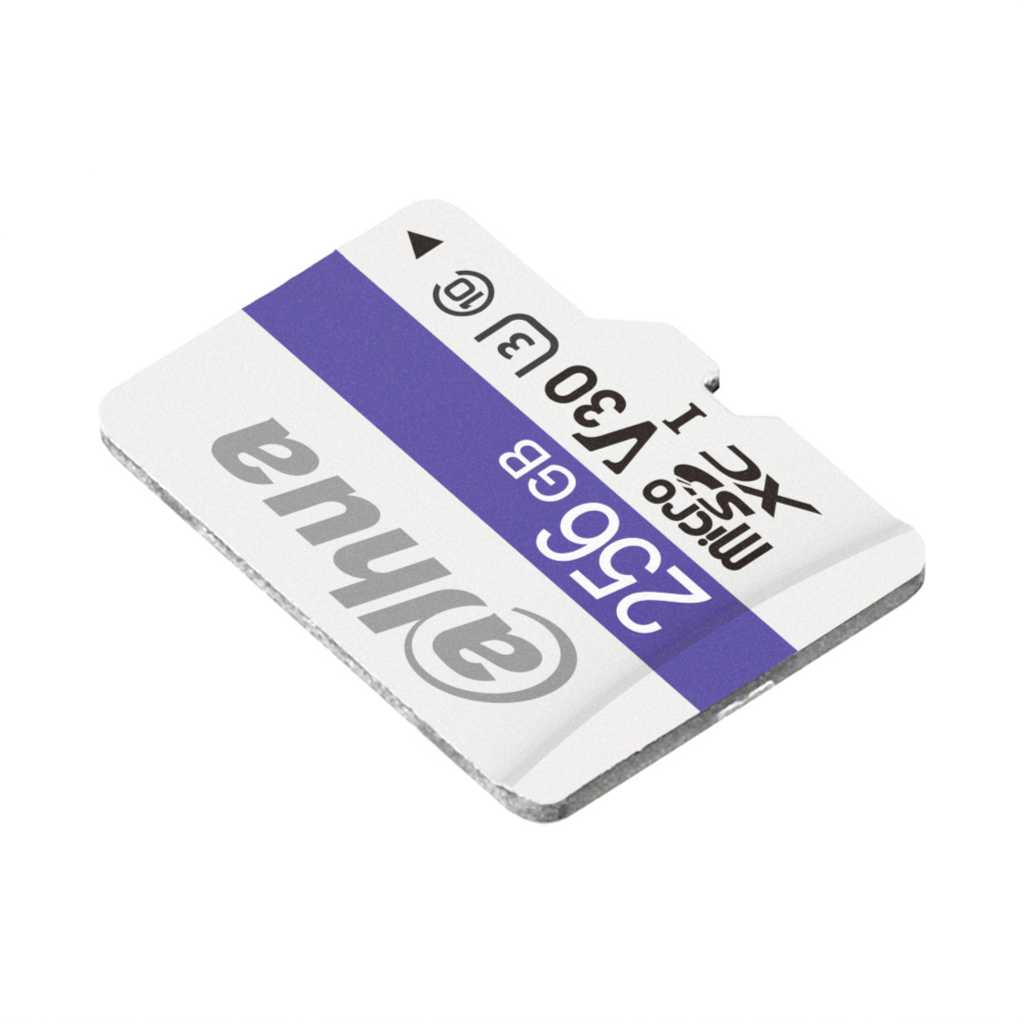 Dahua TF-C100/256GB
