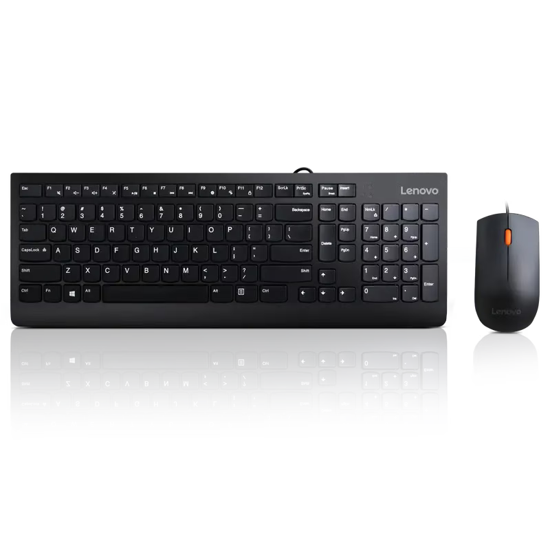 LENOVO 300 Teclado Y Mouse USB GX30M39630